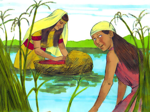 Exodul 2:4<br/>A ascuns coşul între trestii pe malul râului. Miriam veghea asupra micuţului de la o distanţă oarecare. – Imagine 17