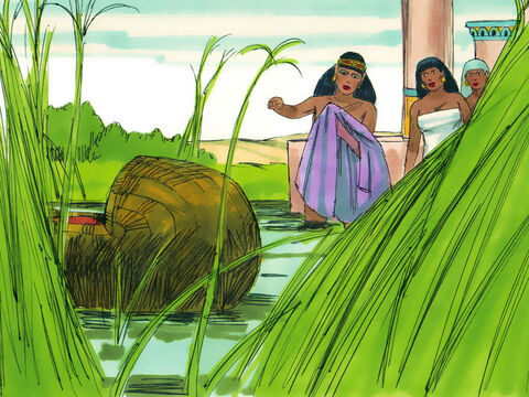 Exodul 2:5<br/>Deodată, fiica lui Faraon ajunse la râu să se scalde. A văzut coşul, şi a trimis una dintre fetele care le însoţeau să-l ia. – Imagine 18