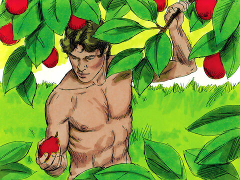 Dumnezeu i-a dat voie să mănânce din orice pom din grădină. – Imagine 14