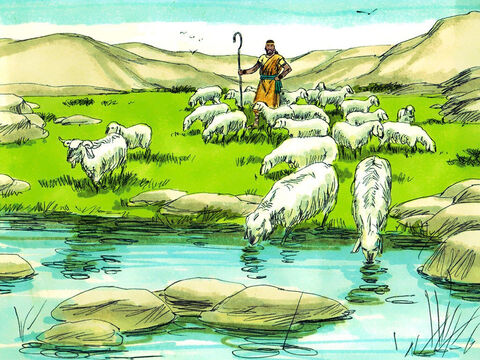 În tinerețe, David a avut grijă de oile tatălui său. Știa că Domnul are grijă de el în același fel: „Domnul este păstorul meu: nu voi duce lipsă de nimic.” (Psalmi 23) – Imagine 4