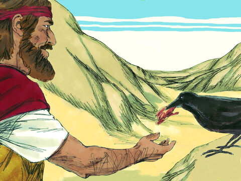 Corbii, care în mod normal sunt niște păsări egoiști, i-au adus lui Ilie pâine și carne în fiecare dimineață și seară. A băut din uedul Cherit. – Imagine 10
