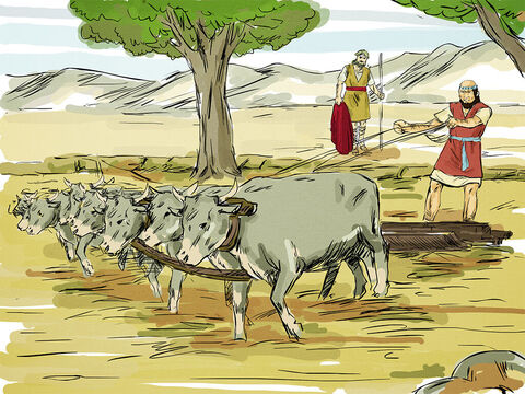 L-a găsit pe Elisei pe câmp, arând cu 12 perechi de boi. – Imagine 2