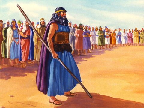 Ilie a continuat: – Eu sunt singurul profet al Domnului, dar sunt 450 de profeţi ai lui Baal. – Imagine 25