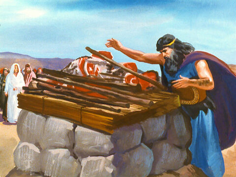 A pus lemnul la loc, şi a aşezat jertfa pe altar. – Imagine 34