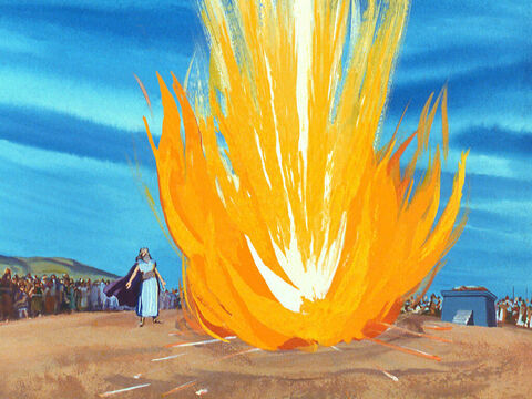 Atunci a căzut focul Domnului. – Imagine 40