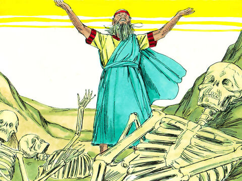 Ezechiel a vorbit cum i-a zis Dumnezeu. S-a auzit un zgomot și oasele au început să se apropie una de celelalte, și au format schelete. – Imagine 5