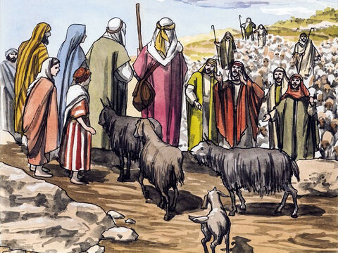 Toţi cei ce i-au auzit, s-au mirat de ceea ce le-au spus păstorii. – Imagine 11