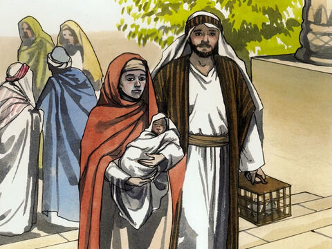 Când s-au împlinit zilele pentru curăţirea lor, poruncită în Legea lui Moise, Iosif și Maria L-au dus pe Isus la Ierusalim ca să-L înfăţişeze înaintea Domnului, aşa cum este scris în Legea Domnului: „Orice întâi născut, care este băiat, să fie pus deoparte pentru Domnul“,... – Imagine 1