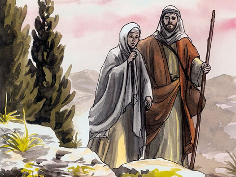 ...aşa că s-au întors la Ierusalim să-L caute. – Imagine 6