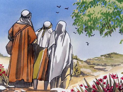 Ei n-au înţeles ceea ce le-a zis El. Apoi S-a coborât împreună cu ei, a venit în Nazaret şi le era supus. – Imagine 11