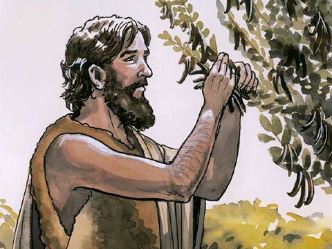 Ioan purta o haină din păr de cămilă, iar în jurul mijlocului avea un brâu de piele. Hrana lui erau lăcustele şi mierea sălbatică. – Imagine 4