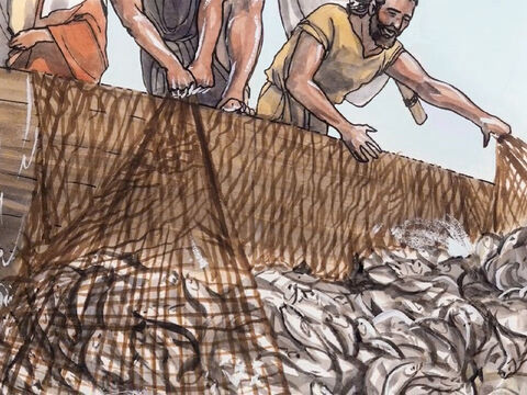 Au făcut aşa şi au prins atât de mulţi peşti, încât năvoadele începuseră să li se rupă. – Imagine 7
