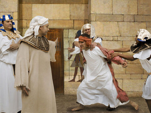 Cei doi au fost puşi sub responsabilitatea lui Iosif. – Imagine 12