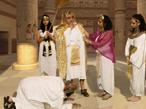 Toţi aşteptau judecata lui Faraon peste ei. – Imagine 24