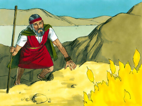 Moise s-a gândit să se uite mai de aproape. Deodată Dumnezeu l-a chemat din mijlocul rugului: – Moise! – Iată-mă! – răspunse Moise. – Imagine 3