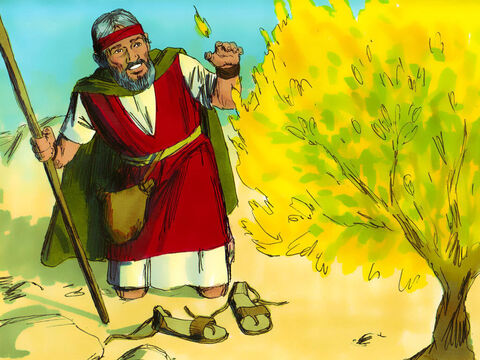 Dumnezeu l-a rugat pe Moise să-şi scoată încălţămintea din picioare, deoarece se află pe pământ sfânt. – Eu sunt Dumnezeul lui Avraam, Isaac şi Iacov, – spunea Domnul. Auzind acest lucru, Moise şi-a ascuns faţa, pentru că îi era frică să se uite la Dumnezeu. – Imagine 4