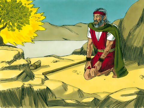 Dumnezeu a întrebat de la Moise, ce are în mână. – Un toiag, – a răspuns Moise. – Aruncă-l la pământ, – a zis Domnul. – Imagine 12