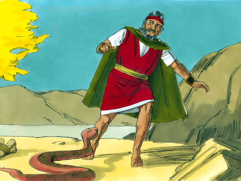 Când a aruncat toiagul la pământ, acesta s-a prefăcut într-un şarpe. Moise s-a speriat şi a fugit de la acesta. – Întinde-ţi mâna şi apucă şarpele de coadă, – spuse Domnul. – Imagine 13