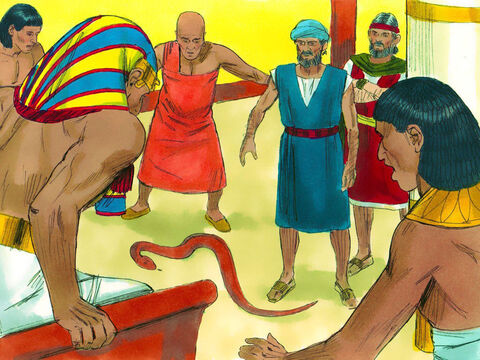 Faraon le-a cerut lui Moise şi Aaron să le arate un miracol. Aaron şi-a aruncat toiagul la pământ, iar acesta a devenit un şarpe. Faraon şi-a adus oamenii înţelepţi şi vrăjitorii. Aceştia şi-au aruncat toiegele, iar aceştia s-au prefăcut în şerpi. – Imagine 12