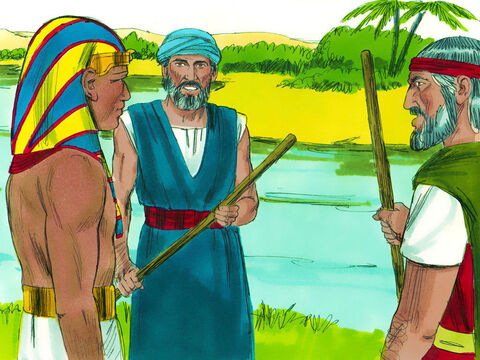 Exodul 7:8-12 Dumnezeu i-a zis lui Moise şi lui Aaron să se ducă la râul Nil unde Faraonul obişnuia să se ducă în fiecare dimineaţă. Ei aveau un mesaj de la Dumnezeu către Faraon: „Lasă-mi poporul să se ducă şi să Mi se închine în pustie.” Faraon le-a refuzat. – Imagine 1