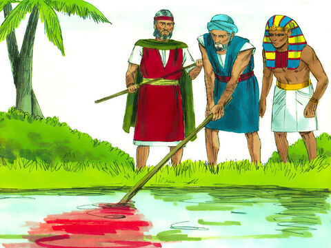 Atunci Aaron a făcut ceea ce Dumnezeu îi poruncise şi a lovit râul cu toiagul. Apa s-a prefăcut în sânge. Peştii au pierit, egiptenii nu au putut să bea şi râul s-a împuţit. – Imagine 2