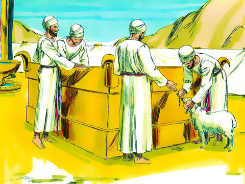 Altarul s-a făcut pentru ca oamenii să aducă un animal mascul fără nici un defect, boi, oi, berbeci (sau păsări dacă erau săraci). A trebuit să-şi pună mâna pe animal pentru a arăta faptul că animalul va fi jertfit pentru ei să facă ispăşire pentru el în faţa lui Dumnezeu (Levitic 1:4). – Imagine 22