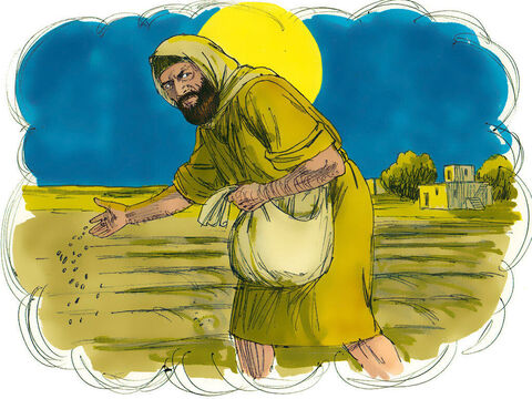 Dar, în timp ce oamenii dormeau, a venit duşmanul lui, a semănat neghină printre grâu şi apoi a plecat. – Imagine 3