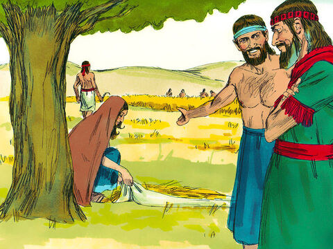 Boaz a observat-o pe Rut adunând spice cu săracii. – Cine este femeia aceasta? – a întrebat supraveghetorul secerătorilor. – Ea este tânăra mobită, care s-a întors cu Naomi, – a răspuns acesta. – A cerut voie să adune spice, şi a muncit din greu toată ziua. – Imagine 3