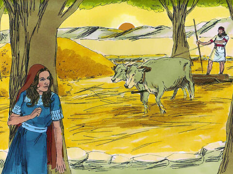 Rut a coborât la arie, unde Boaz lucra, şi a avut grijă să nu fie văzută. – Imagine 2