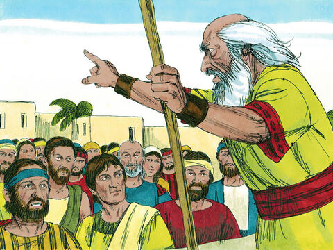 Samuel a adunat poporul lui Israel. S-a ales tribul lui Beniamin prin tragere la sorţi. Apoi s-a ales familia lui Saul, după care s-a tras Saul însuşi. Însă nu l-au găsit nicăieri. L-au întrebat pe Domnul, cine le-a arătat că Saul este ascuns printre bagaje. – Imagine 17