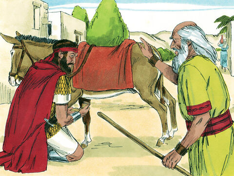 Samuel a venit la Saul cu un mesaj de la Dumnezeu: – Domnul o să-i pedepsească pe amalekiţi pentru că au atacat israeliţii şi le-au ucis când Moise le conducea prin pustie. Atacă-le şi distruge-le împreună cu animalele lor. Nici un vieţuitor nu poate rămâne în viaţă. – Imagine 2