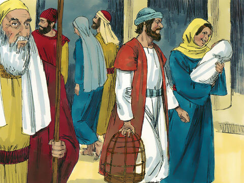 Maria şi Iosif s-au întors acasă în Galileea. Isus creştea, se întărea şi era umplut cu înţelepciune, iar harul lui Dumnezeu era peste El. – Imagine 8